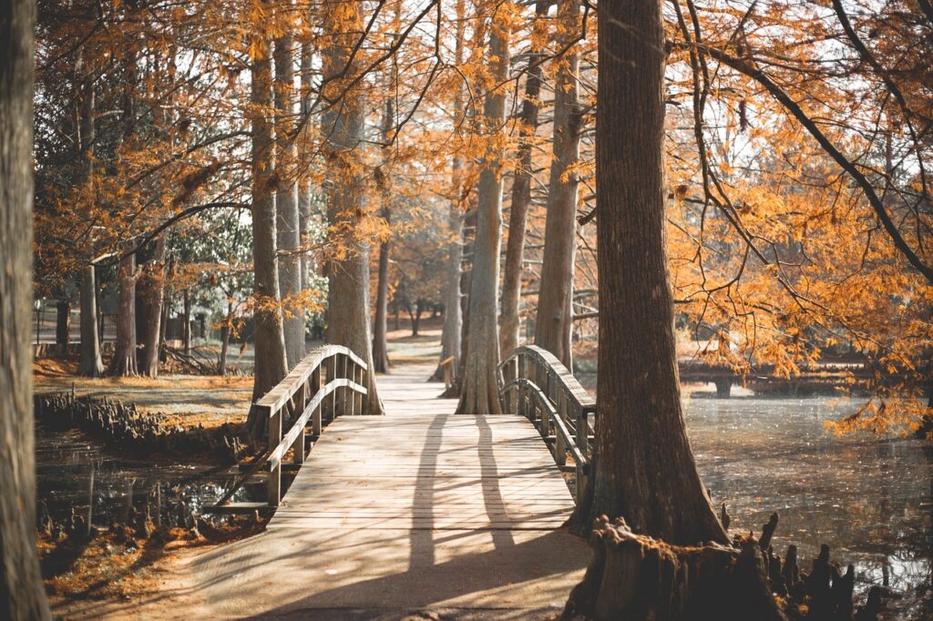 bridge, park, outside-3013297.jpg